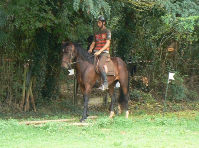  Equitación en Vienne 